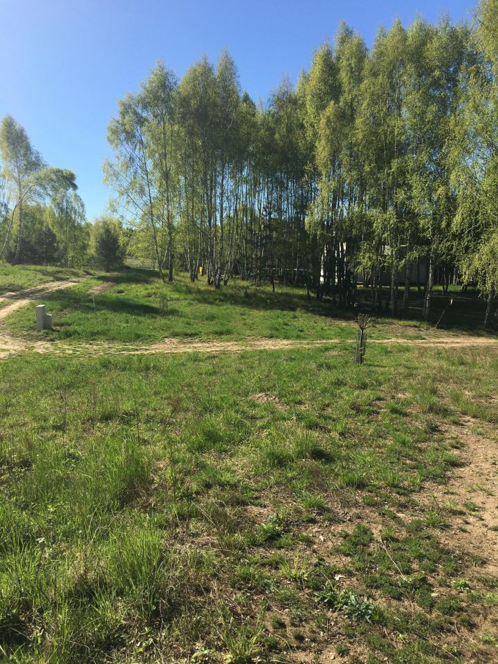 Działka budowlana Graniczna Wieś Pruska Karczma, ul. Jarzębinowa. Zdjęcie 20