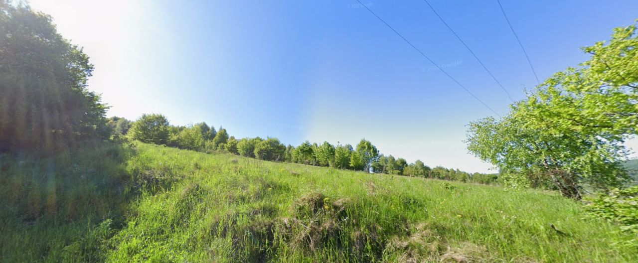 Działka leśna Piwniczna-Zdrój, ul. Bolesława Chrobrego. Zdjęcie 2