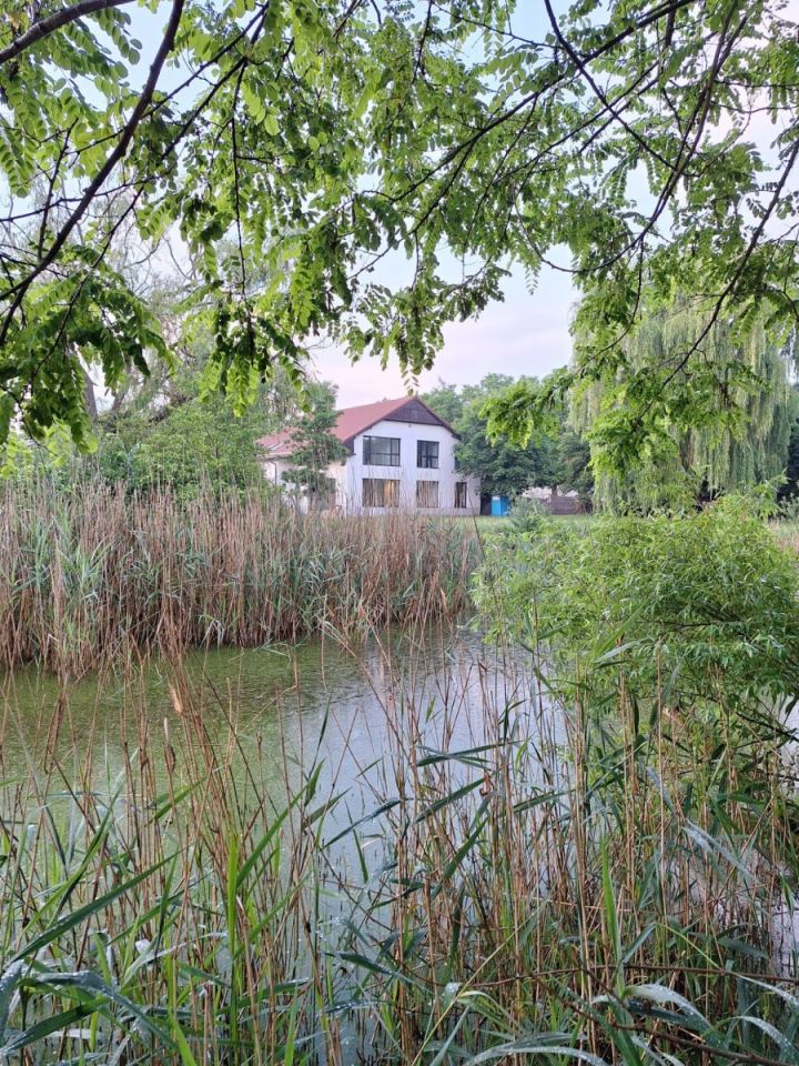 dom wolnostojący, 7 pokoi Samotwór, ul. Główna. Zdjęcie 19