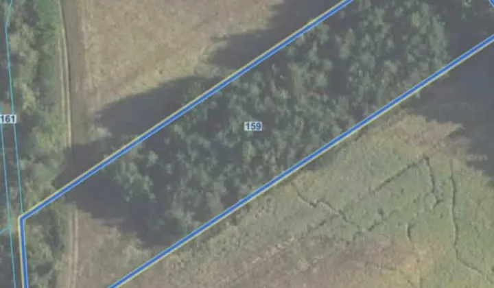 Działka rolna Koźniewo Wielkie