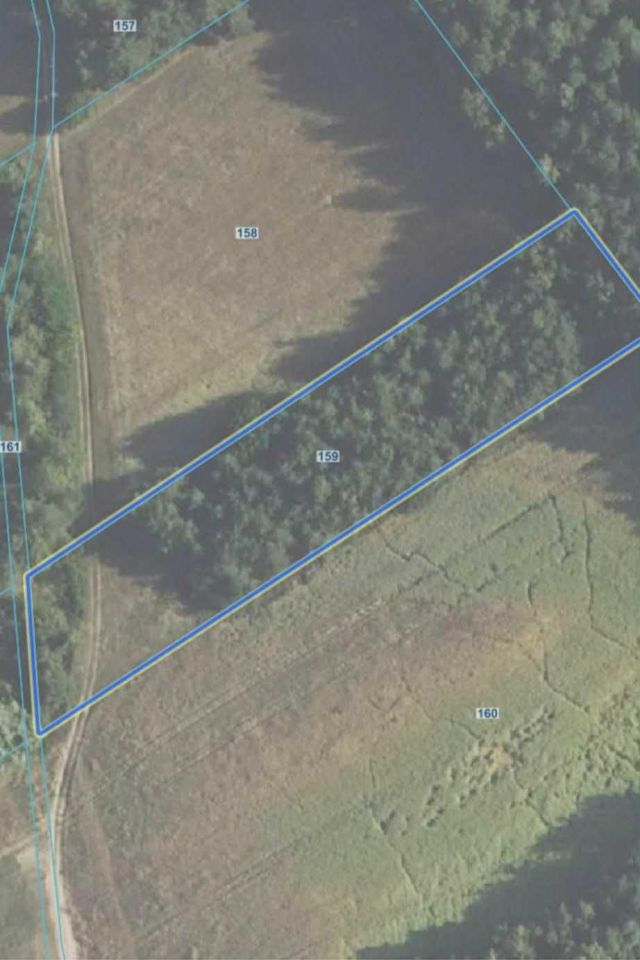 Działka rolna Koźniewo Wielkie. Zdjęcie 1