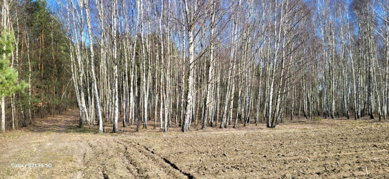 Działka Ulaski. Zdjęcie 2