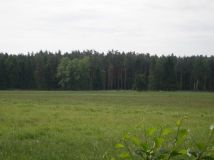 Działka budowlana Ostrowin. Zdjęcie 3