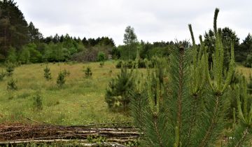 Działka rolno-budowlana Osowo Leśne