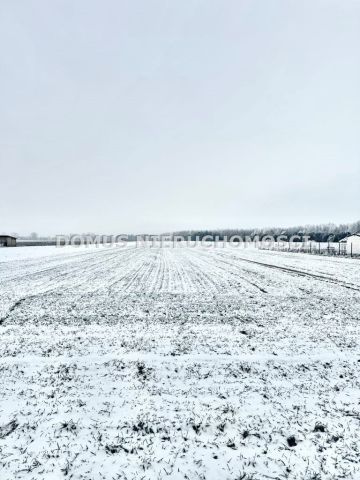 Działka budowlana Złotniki. Zdjęcie 3