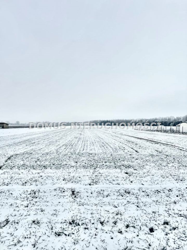 Działka budowlana Złotniki. Zdjęcie 3