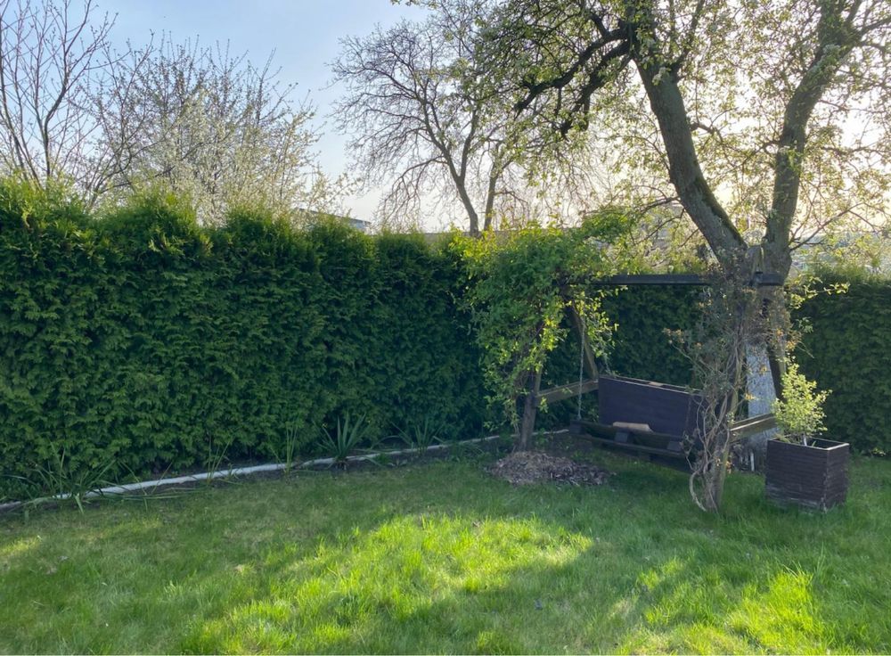 Działka rod Szczecin Niebuszewo, ul. Przyjaciół Żołnierza. Zdjęcie 6