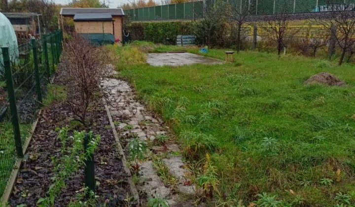 Działka rod Brzeg, ul. Małujowicka