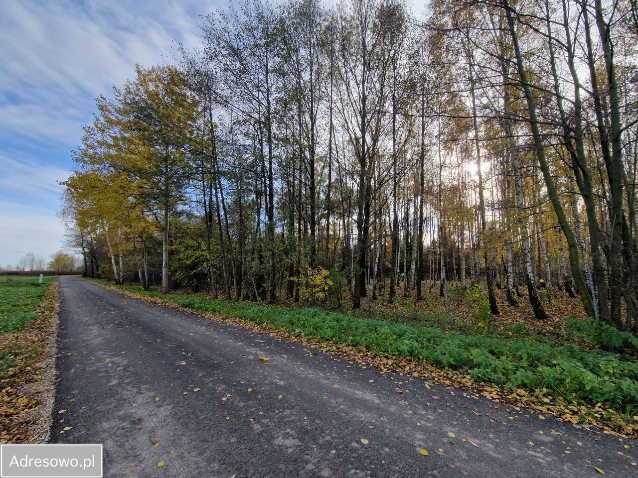 Działka budowlana Cholewy. Zdjęcie 10