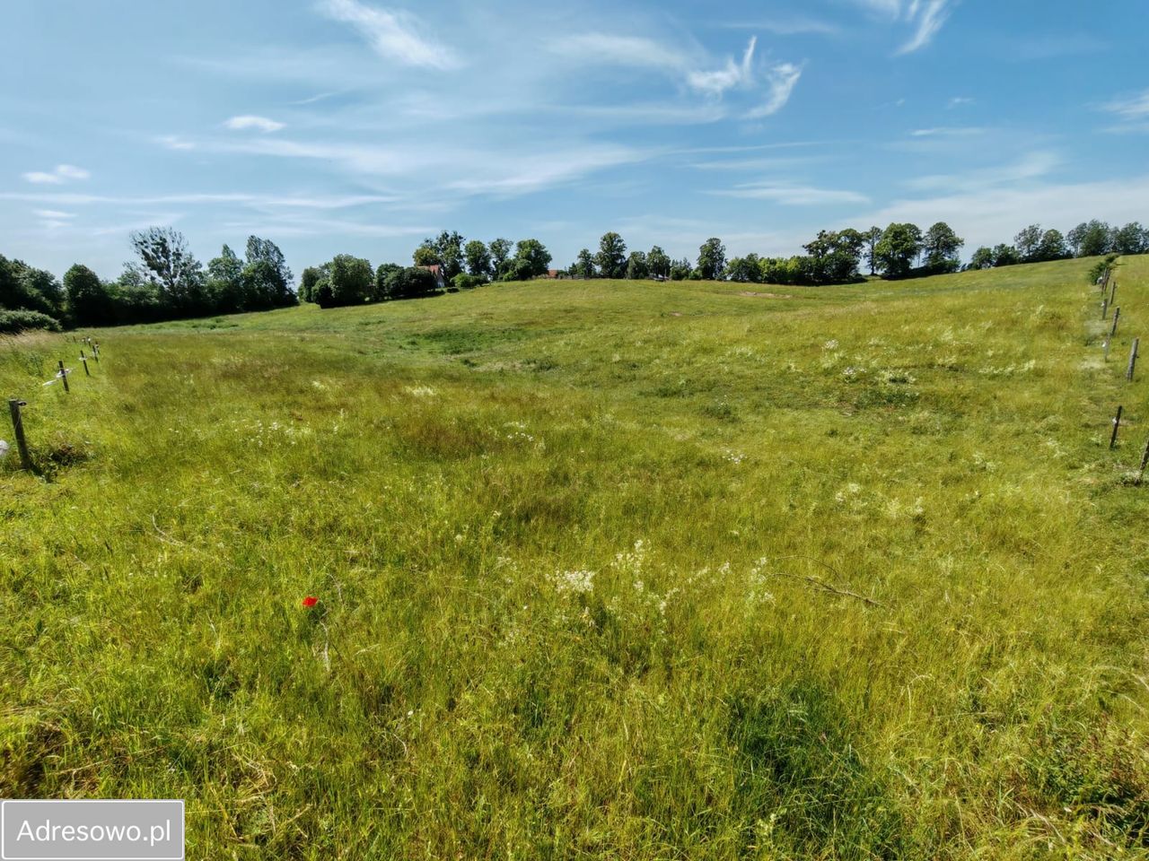 Działka rolna Dąbrówka. Zdjęcie 16
