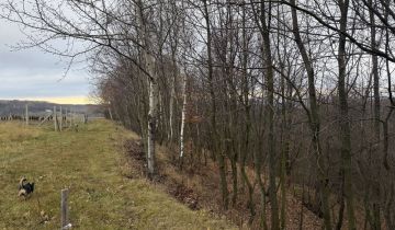 Działka rolno-budowlana Hermanowa