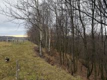 Działka rolno-budowlana Hermanowa. Zdjęcie 1