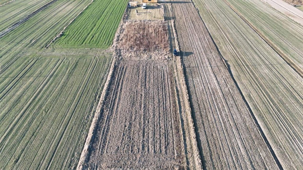 Działka budowlana Borki Siedleckie. Zdjęcie 2