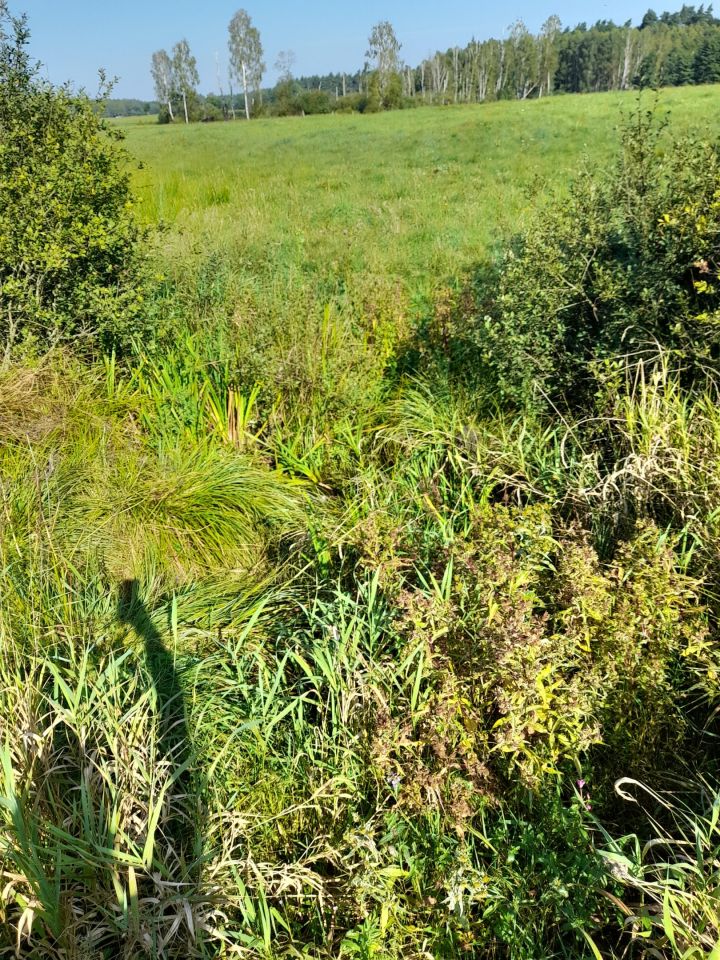 Działka rolna Garczegorze. Zdjęcie 3