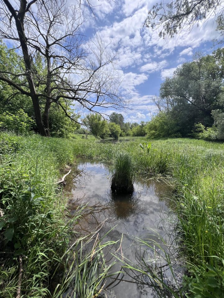 Działka rolna Tarnów. Zdjęcie 4