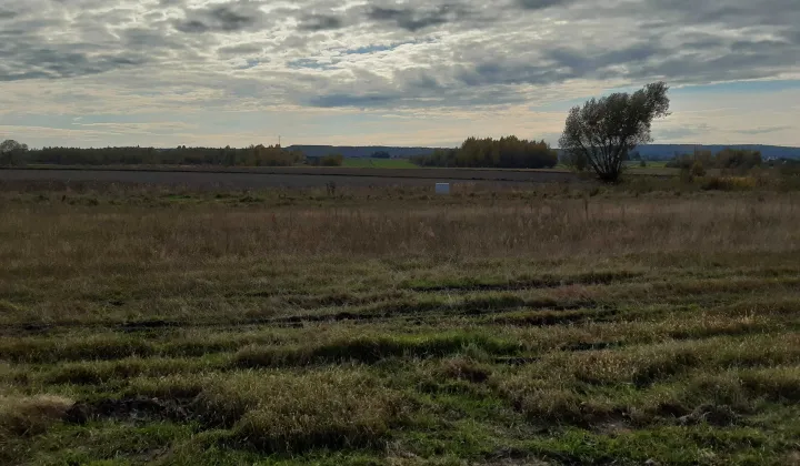 Działka budowlana Górno-Parcele