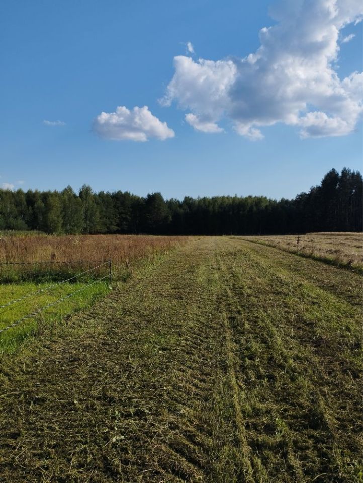 Działka budowlana Zagruszany. Zdjęcie 2