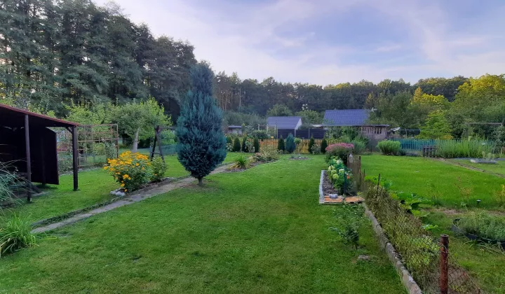 Działka rekreacyjna Zielona Góra Przyjaźń, ul. Łużycka