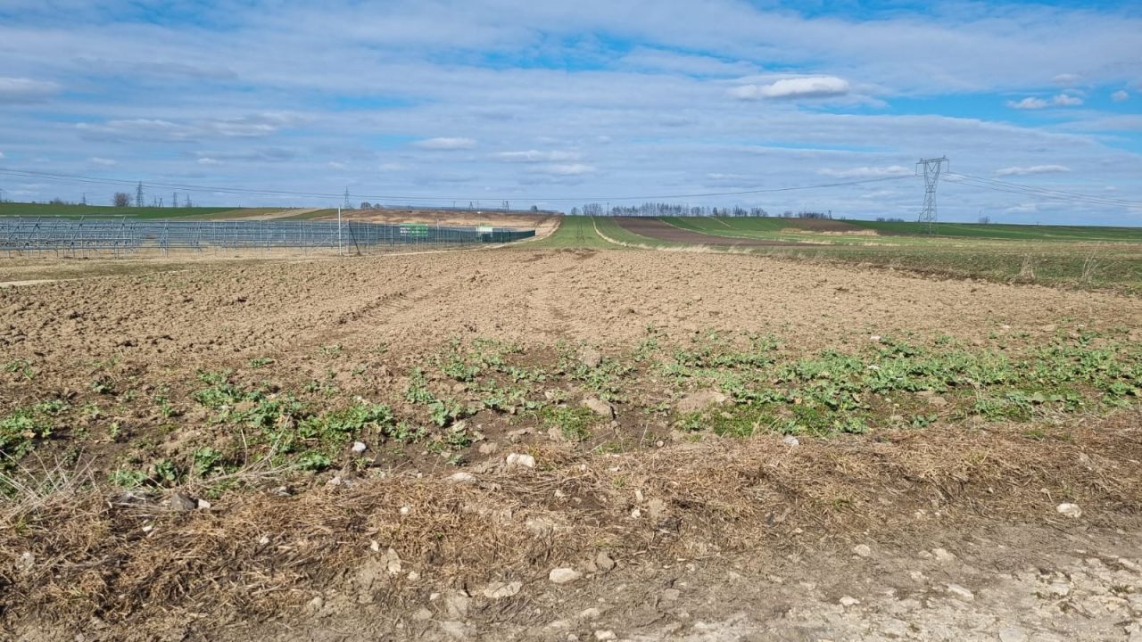 Działka rolna Niziny. Zdjęcie 3