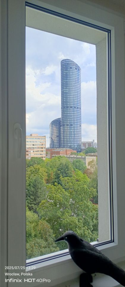 Mieszkanie 2-pokojowe Wrocław Krzyki, ul. Gajowicka. Zdjęcie 29