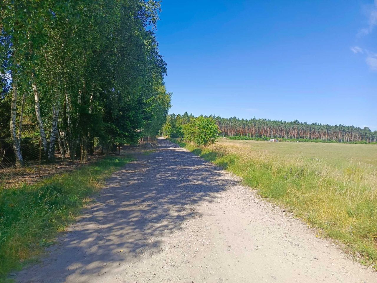 Działka budowlana Kalina. Zdjęcie 7