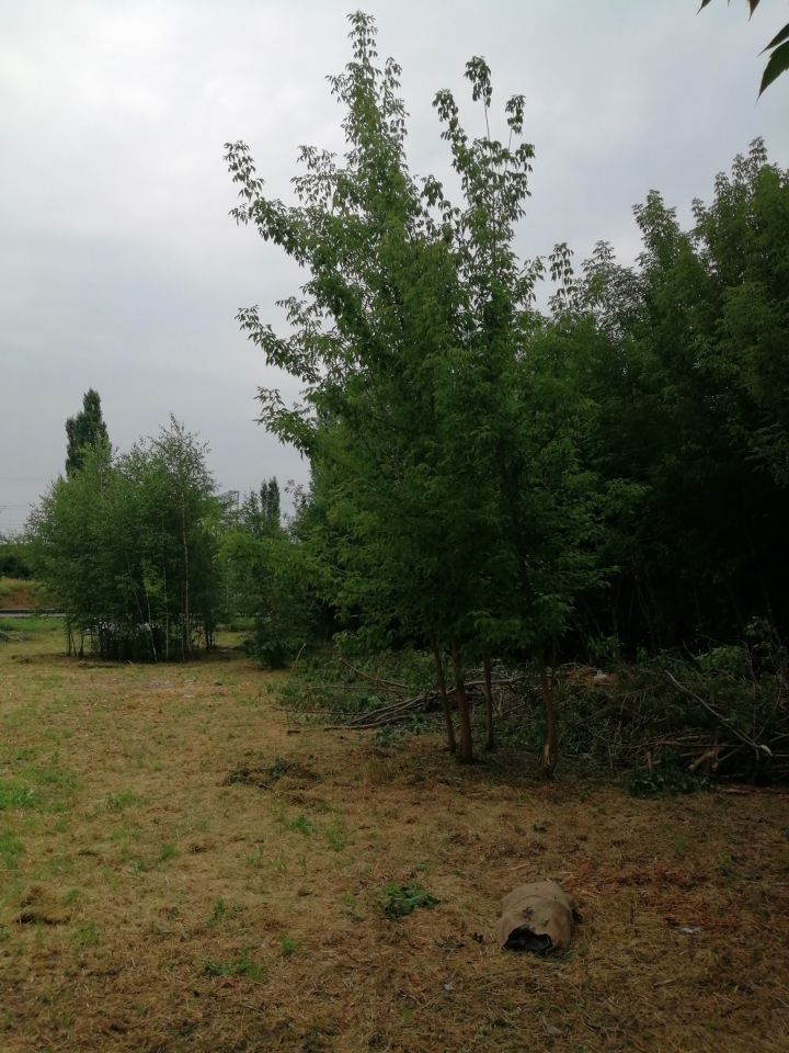 Działka budowlana Sochaczew, ul. Torowa. Zdjęcie 2