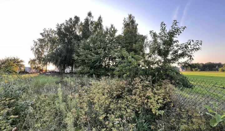 Działka budowlana Brodnica Michałowo, ul. Polna