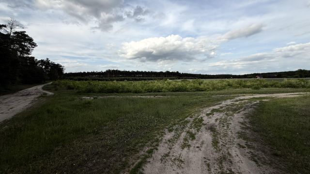 Działka budowlana Ostrowo Rusin. Zdjęcie 11