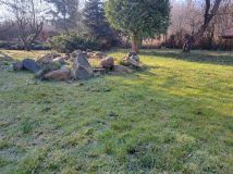 Działka rod Lubsko. Zdjęcie 3