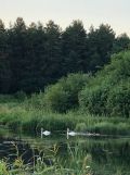 Działka inwestycyjna Majdan Sopocki Drugi. Zdjęcie 4