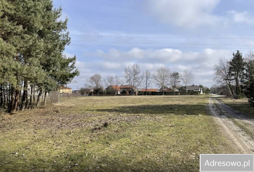 Działka rolno-budowlana Krzcin. Zdjęcie 1