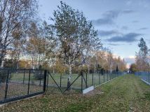 Działka Jedlińsk Piaski, ul. Jaśminowa. Zdjęcie 4