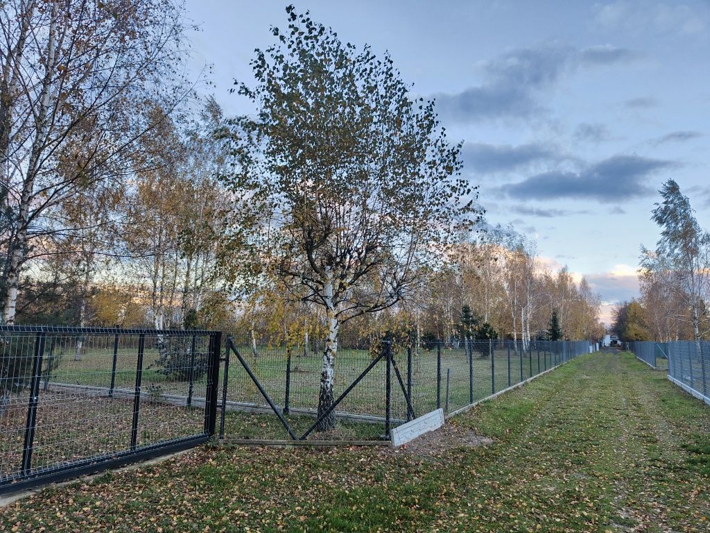 Działka Jedlińsk Piaski, ul. Jaśminowa. Zdjęcie 5