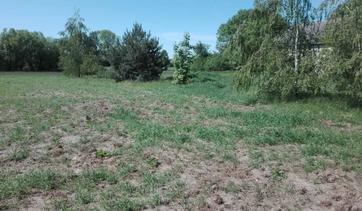 Działka budowlana Dąbrowica-Kolonia