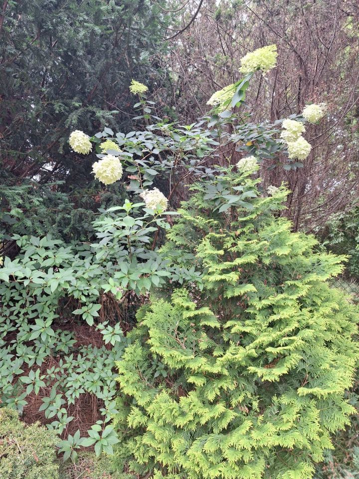 Działka rod Władysławów. Zdjęcie 5