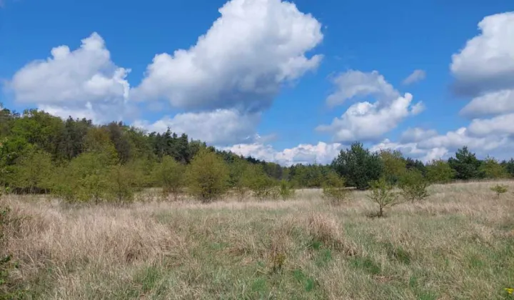 Działka budowlana Wagowo, ul. Babiego Lata