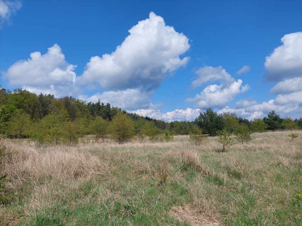 Działka budowlana Wagowo, ul. Babiego Lata. Zdjęcie 1