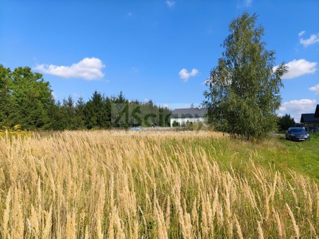 Działka budowlana Zaręby. Zdjęcie 1