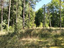 Działka budowlana Łośno. Zdjęcie 1