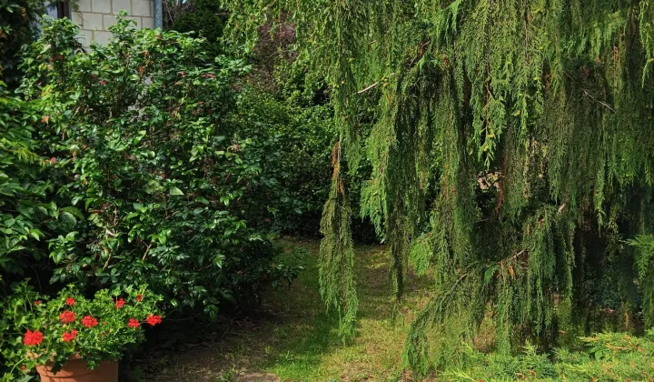 siedlisko, 4 pokoje Dukaczew