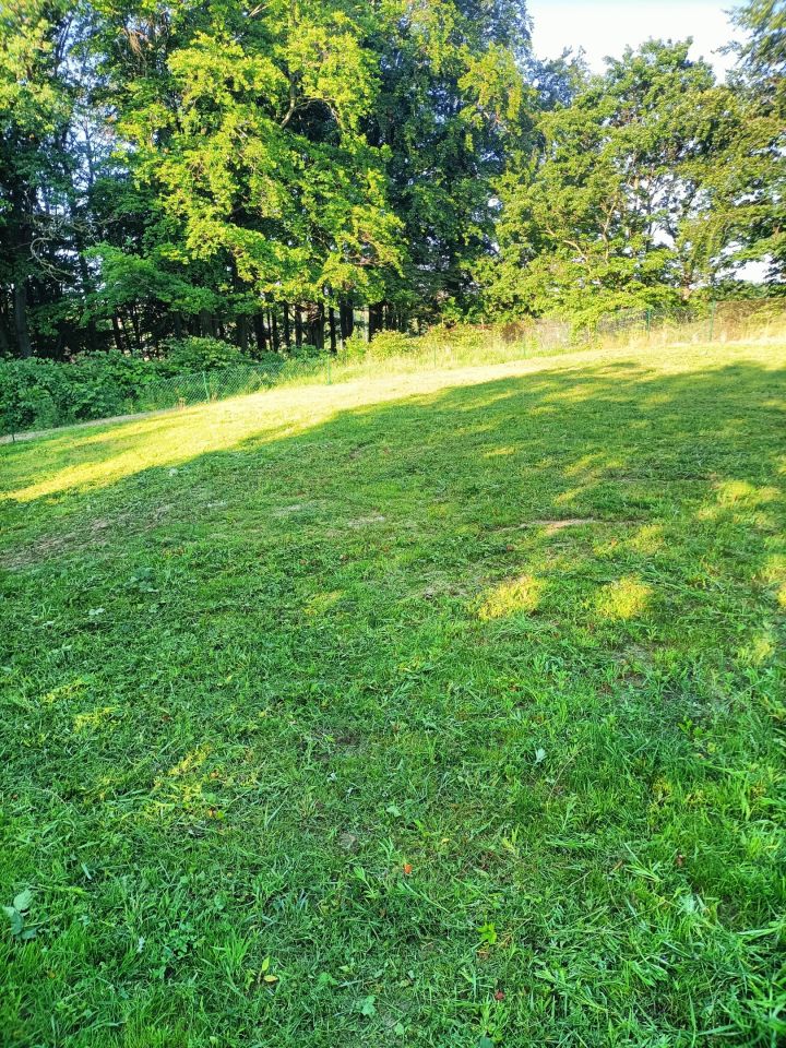 Działka rod Gdańsk Złota Karczma, ul. mjr. Mieczysława Słabego. Zdjęcie 11