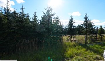 Działka budowlana Zawonia, ul. Rumiankowa