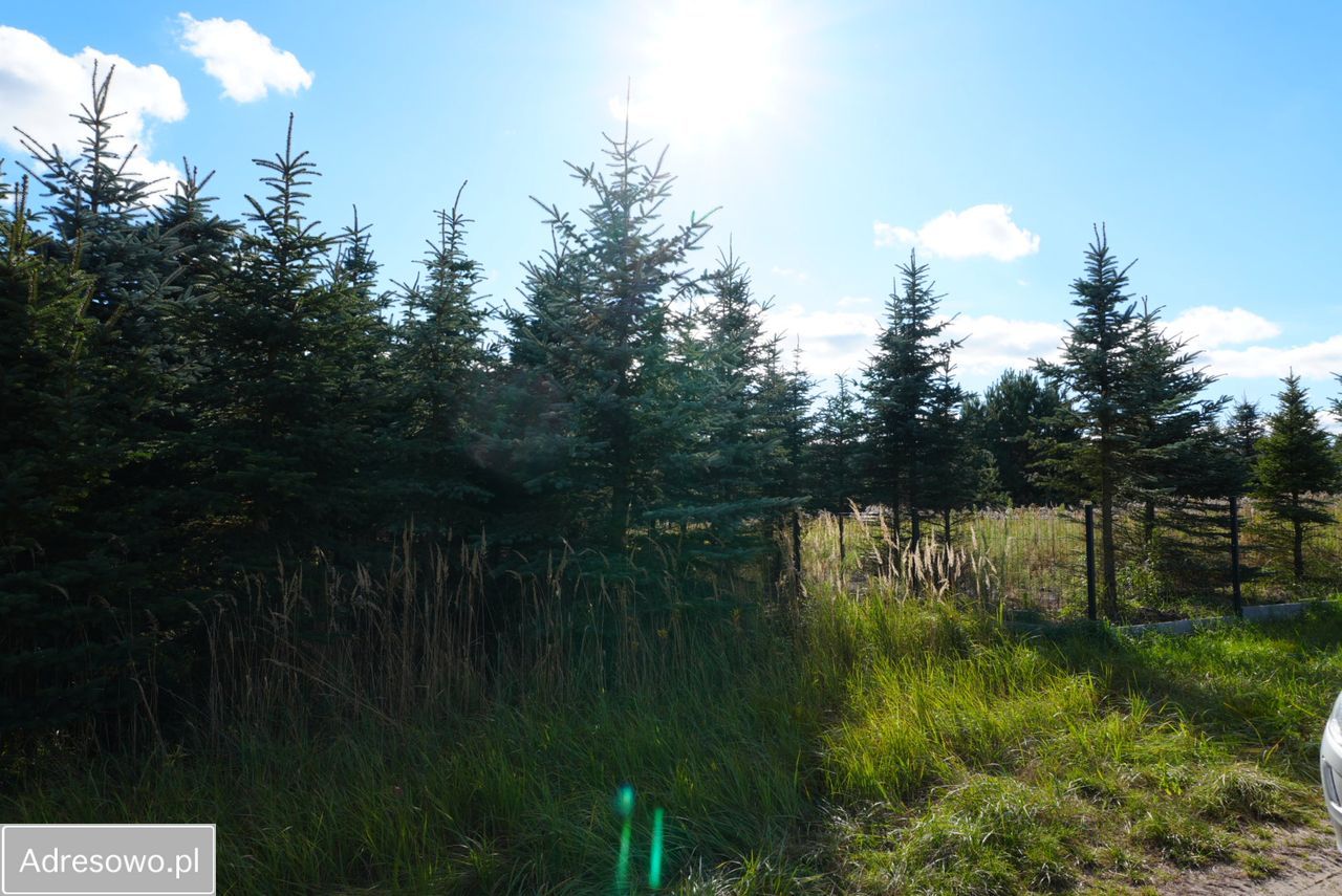 Działka budowlana Zawonia, ul. Rumiankowa. Zdjęcie 2