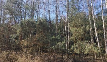 Działka rolna Jeżów