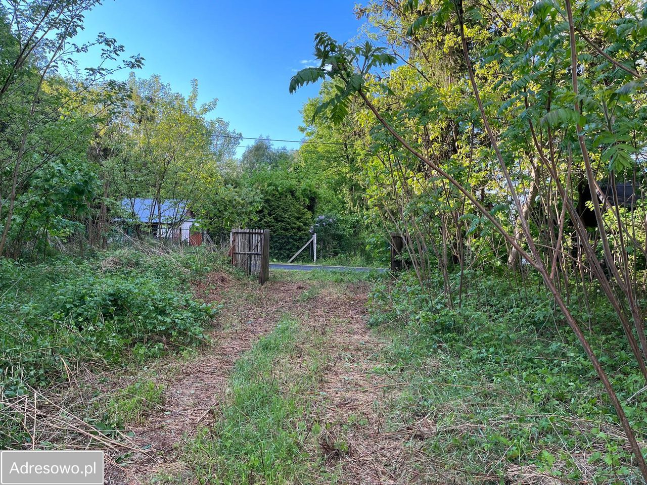 Działka rolno-budowlana Huta Jeżewska. Zdjęcie 12