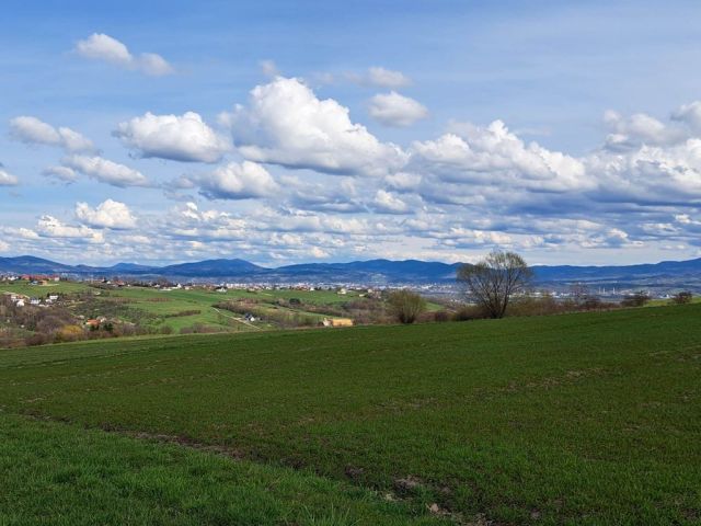 Działka budowlana Trzetrzewina. Zdjęcie 1