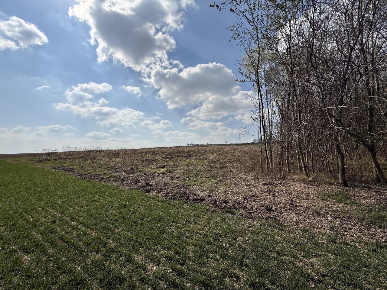 Działka budowlana Kruków, ul. Tarnawska. Zdjęcie 10