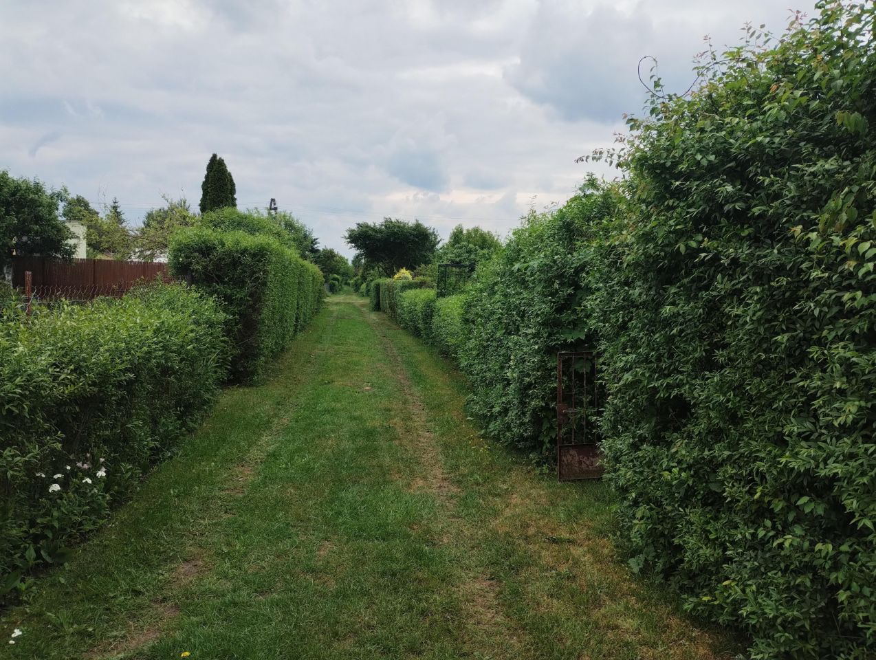 Działka rod Wołomin, ul. Kurkowa. Zdjęcie 6