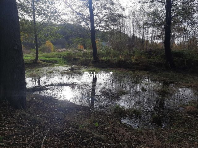 dom wolnostojący, 7 pokoi Zagajnik, ul. Wesoła. Zdjęcie 6
