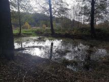 dom wolnostojący, 7 pokoi Zagajnik, ul. Wesoła. Zdjęcie 4